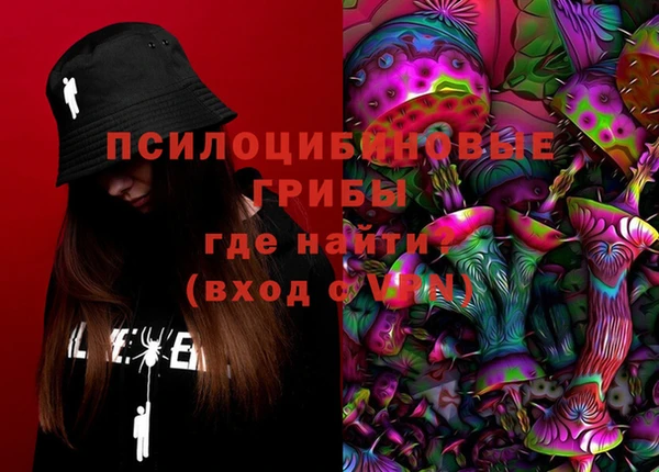 PSILOCYBIN Магас