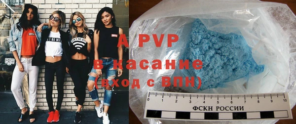 PSILOCYBIN Лиски