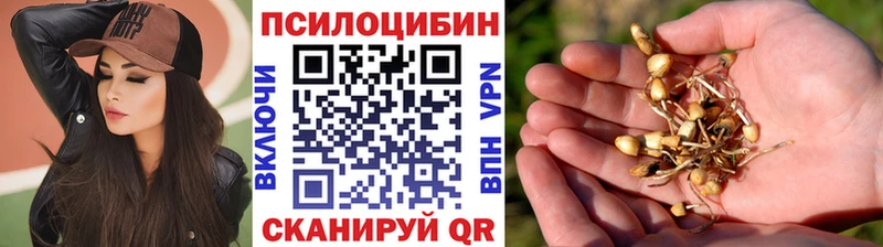 kraken ONION  Суворов  Псилоцибиновые грибы MAGIC MUSHROOMS  как найти  