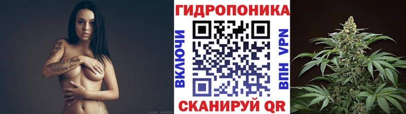 Бошки марихуана Ganja  наркошоп  Суворов 